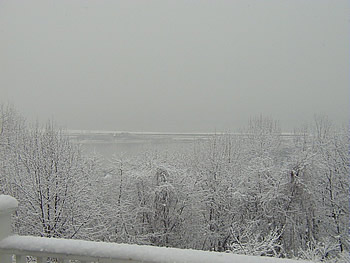 Ice Storm at the Shore